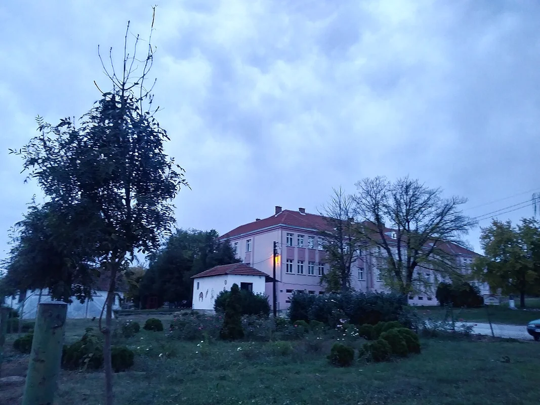 Виноградники в окрестностях Жупы, традиционный регион виноделия