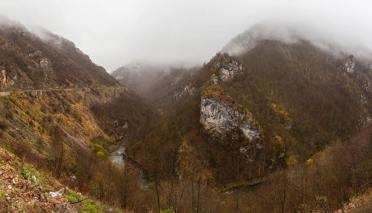 A glass of homemade plum brandy, accompanied by bread and cheese