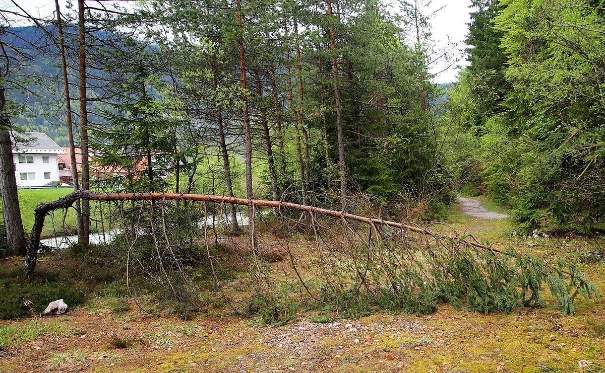 Панорамный вид с вершины перевала Вршич на Триглавский национальный парк