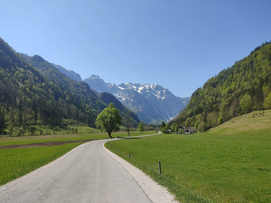 Золотая осень в буковых лесах Логарской долины