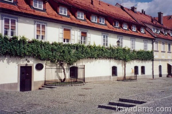 Набережная Лент и река Драва в Мариборе