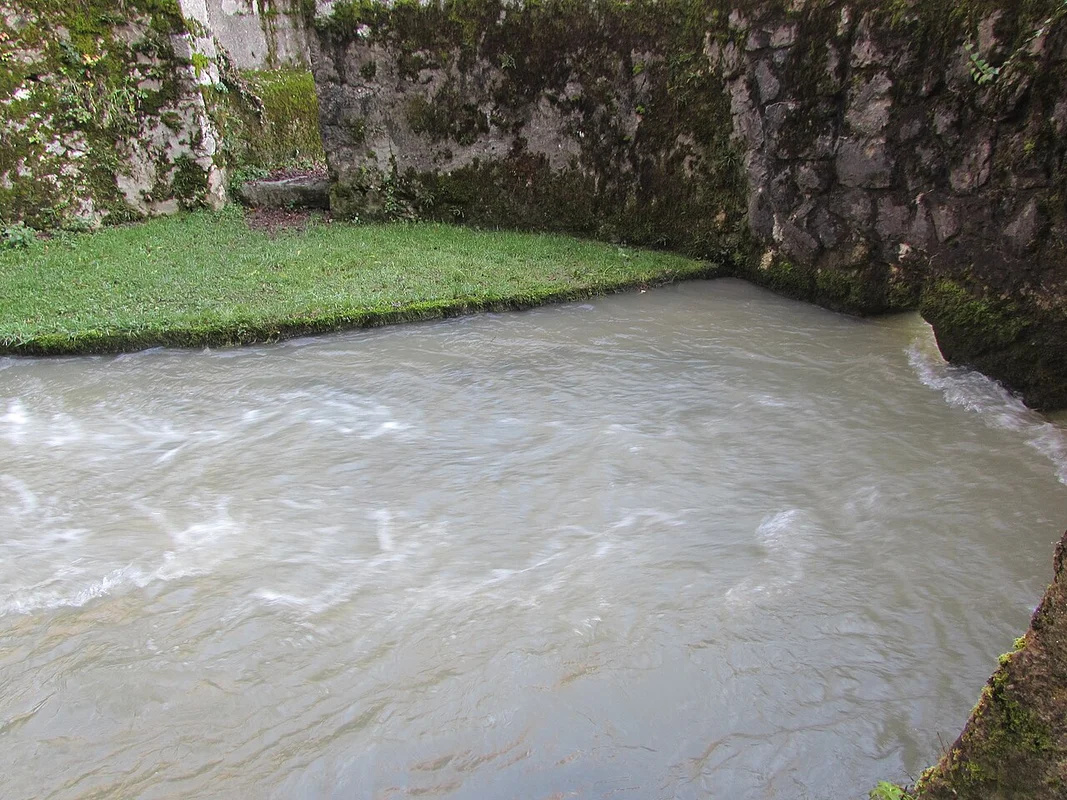 Виноградники Белой Краниа и бокал метликской чрнины