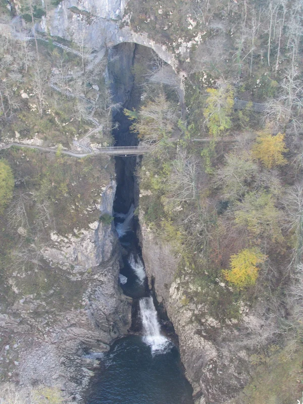 Белые липицианские лошади на конезаводе Липица в Словении