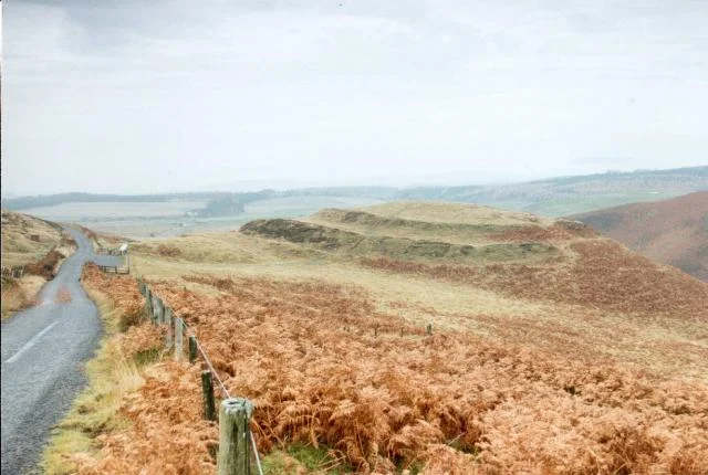 Local cheese from Grazalema, white and grated, in the cooperative shop