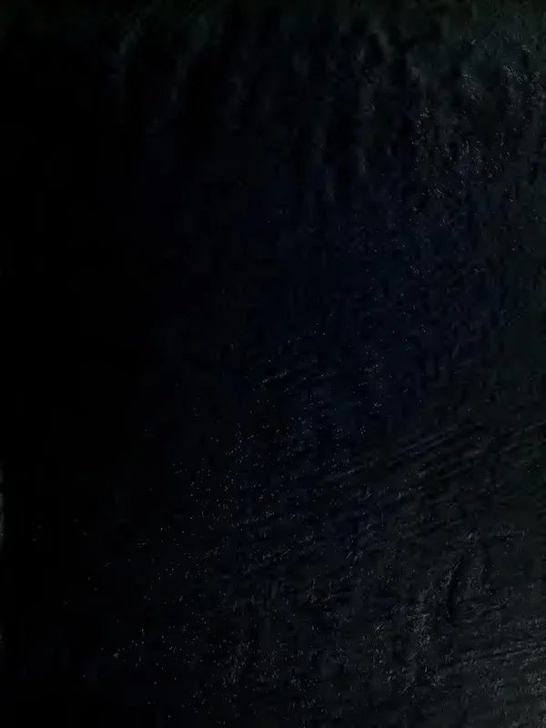 Готические витражи XIV века в монастыре Кёнигсфельден