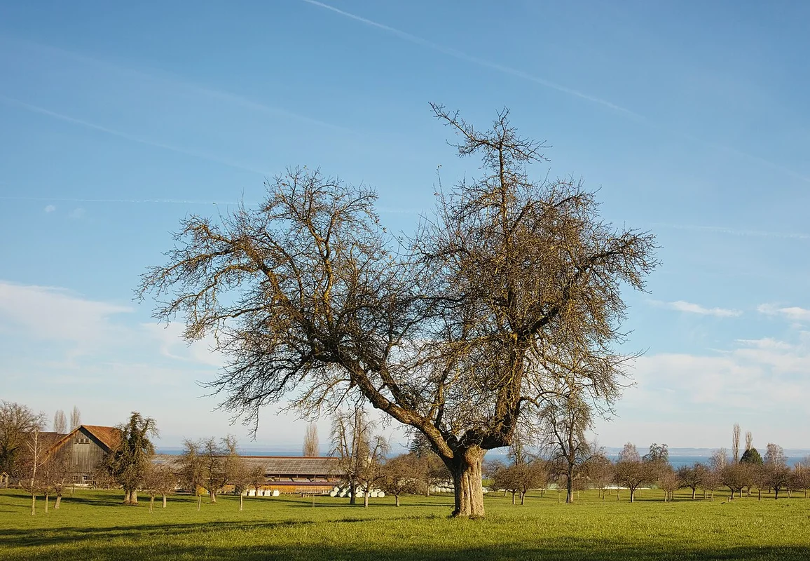Атракціони дитячого парку Erlebnispark у місті Цуг