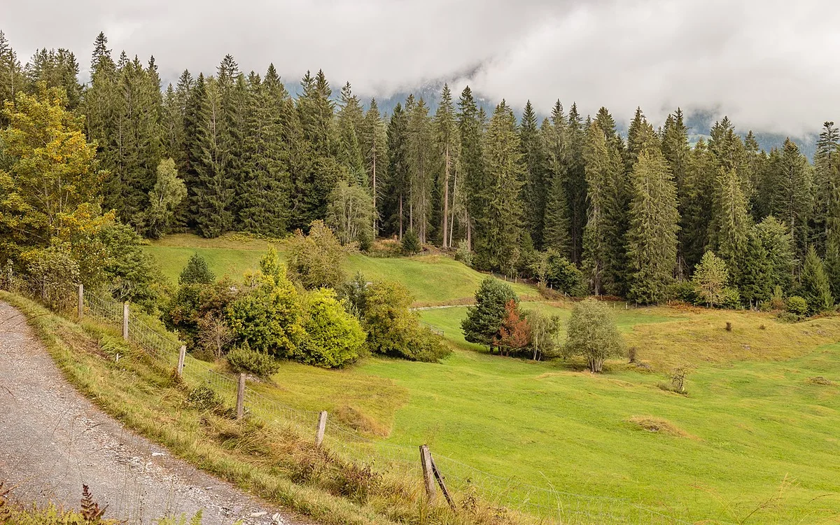 Соревнования LAAX OPEN — этап мирового тура по сноуборду
