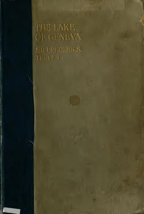 Площадь Бур-де-Фур в Старом городе Женевы с фонтаном и кафе