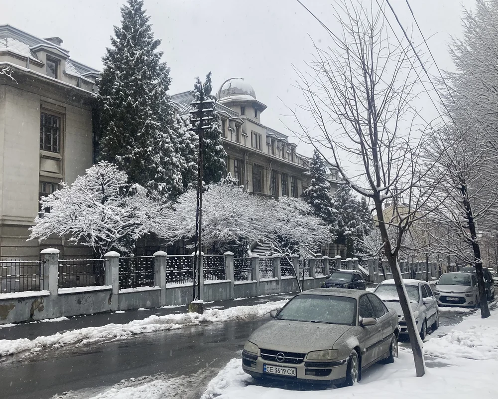 Расписной потолок Синодального зала в главном корпусе