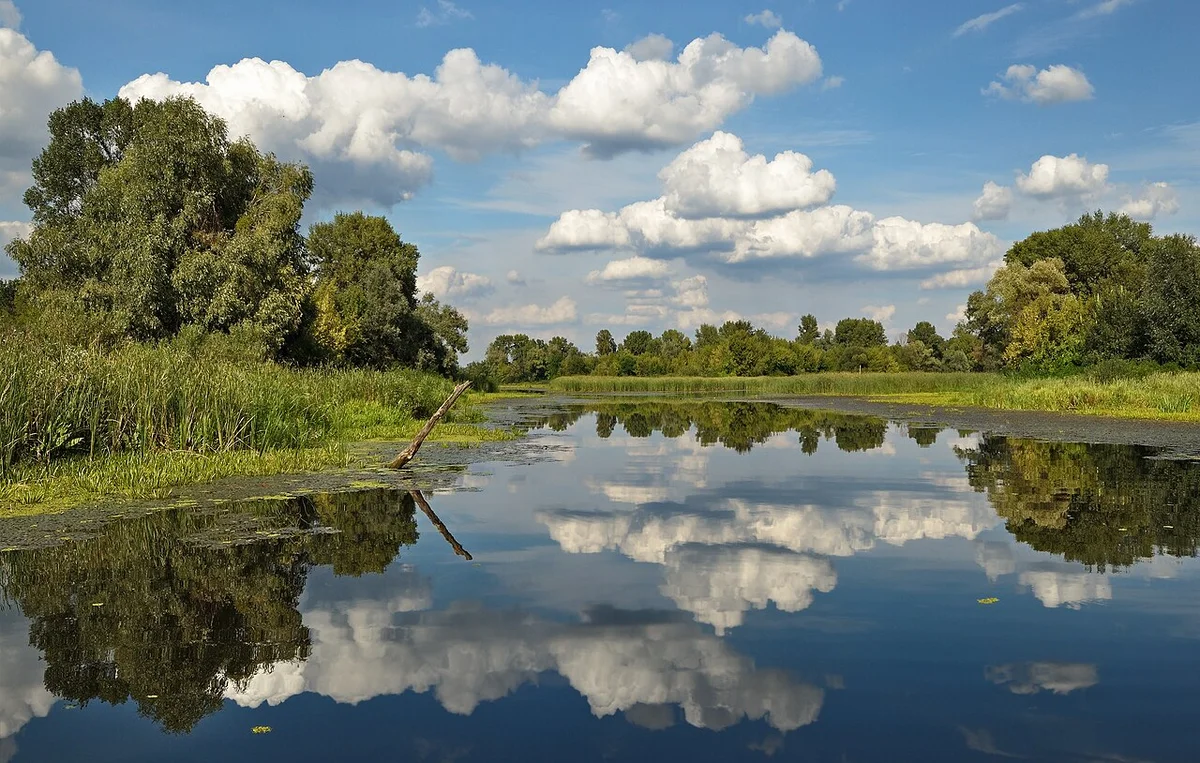 Вечерняя подсветка центральной набережной города Днепр
