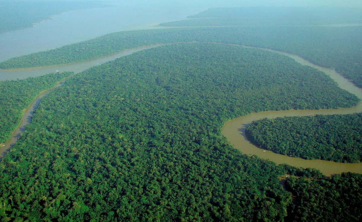 Le lac Lebed, entouré de roseaux et de forêt dans la Zelёna Brama