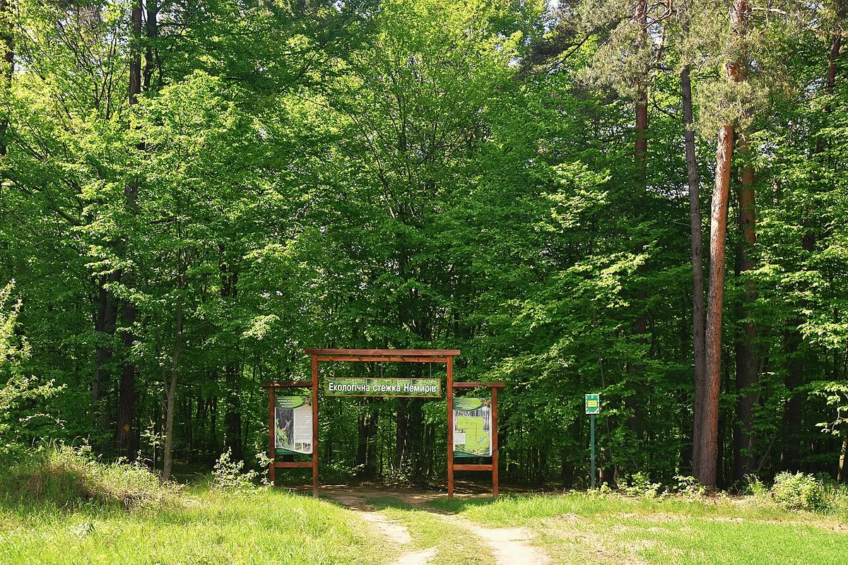Парк вокруг дворца с вековыми дубами и аллеями
