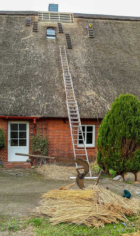 Революция в туристических сервисах: как новые AI-системы меняют индустрию путешествий